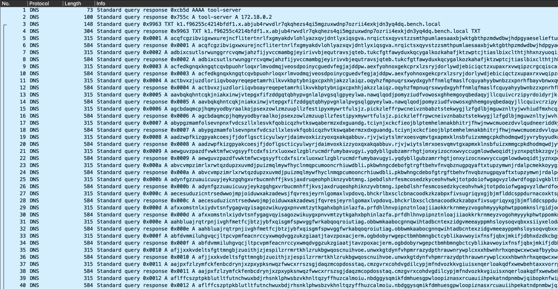 Wireshark capture of DNS packets generated by a weighted-encoded file transfer with X25519 key exchange